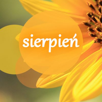 Słońce z napisem sierpień